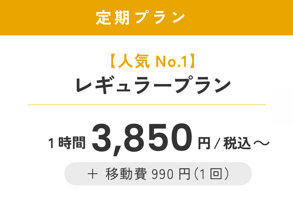 レギュラープラン 3,850円